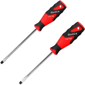 پیچ گوشتی 2*125 رونیکس کد RH_2772